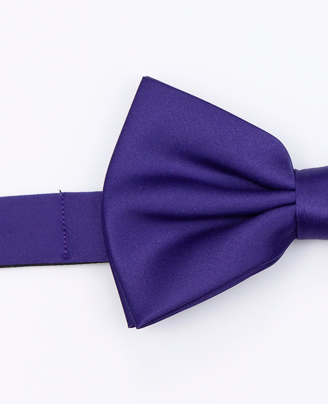 Papillon Viola n°1 Uomo in Poliestere | Anatole - Unipap's