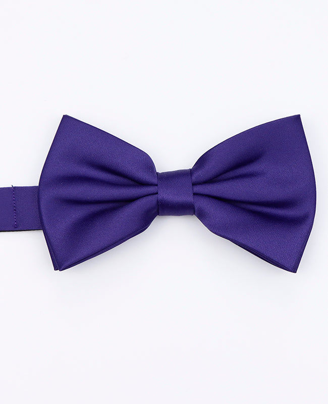 Papillon Viola n°1 Uomo in Poliestere | Anatole - Unipap's