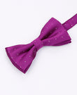 Papillon Viola A Pois Uomo in Poliestere | Georges - Unipap's