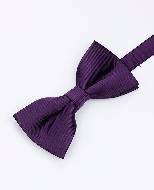 Papillon Viola n°2 Uomo in Poliestere | Lucien - Unipap's
