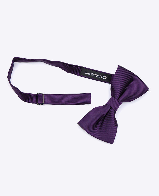 Papillon Viola n°2 Uomo in Poliestere | Lucien - Unipap's