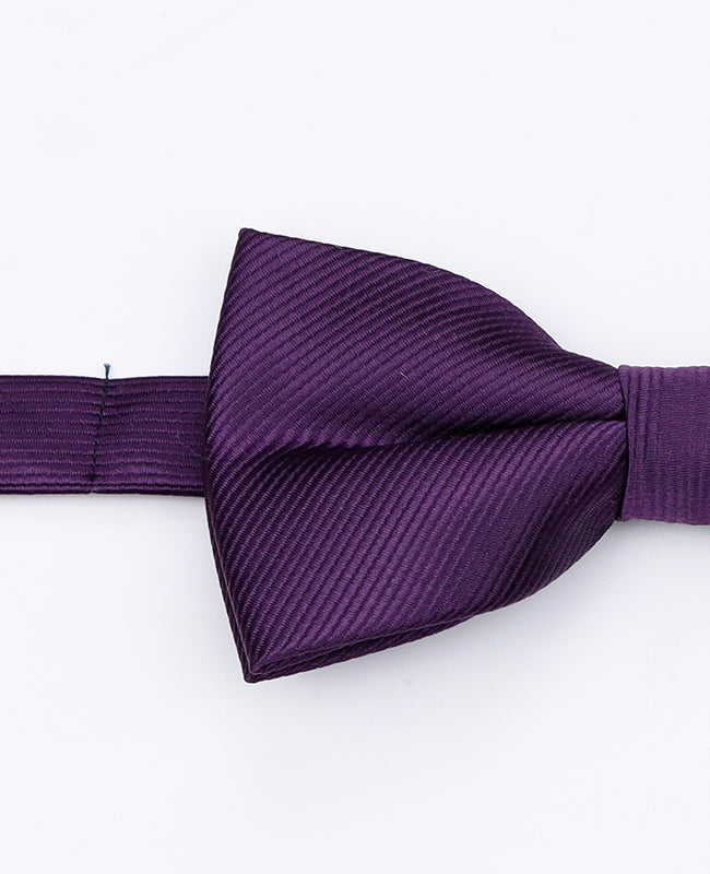 Papillon Viola n°2 Uomo in Poliestere | Lucien - Unipap's