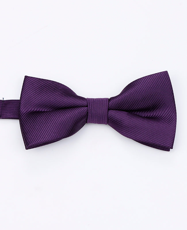 Papillon Viola n°2 Uomo in Poliestere | Lucien - Unipap's