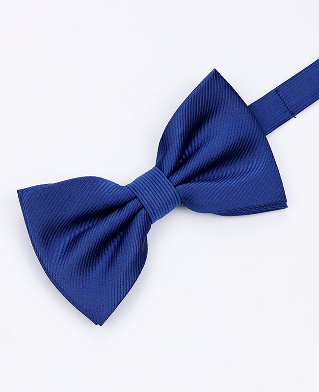 Papillon XL Blu n°2 Uomo in Poliestere | Lucien - Unipap's
