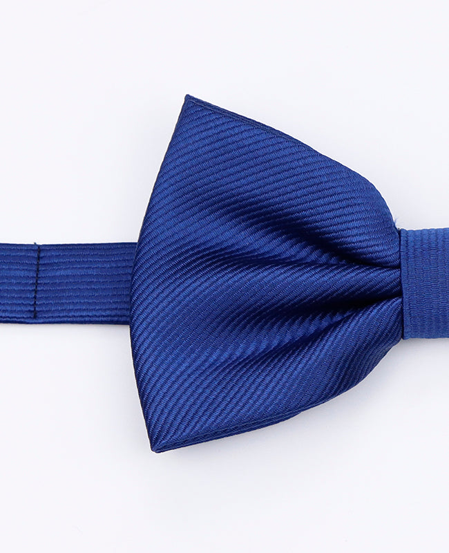 Papillon XL Blu n°2 Uomo in Poliestere | Lucien - Unipap's