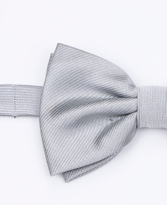 Papillon XL Grigio n°2 Uomo in Poliestere | Lucien - Unipap's