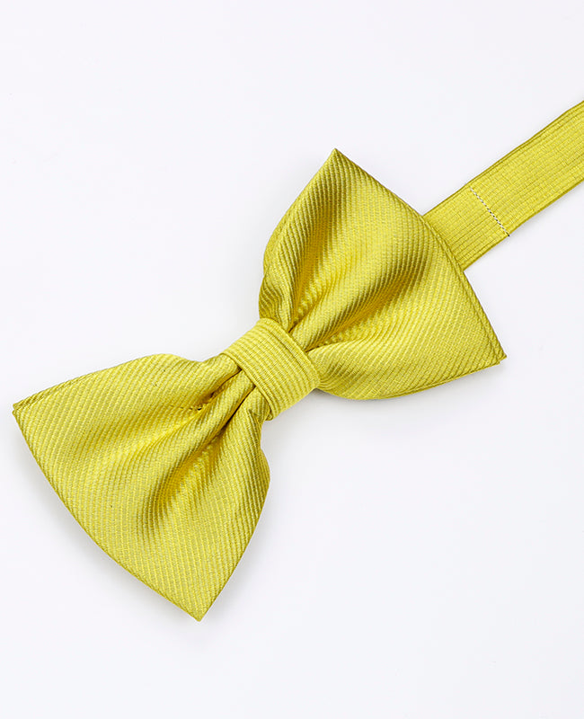 Papillon XL Giallo n°2 Uomo in Poliestere | Lucien - Unipap's