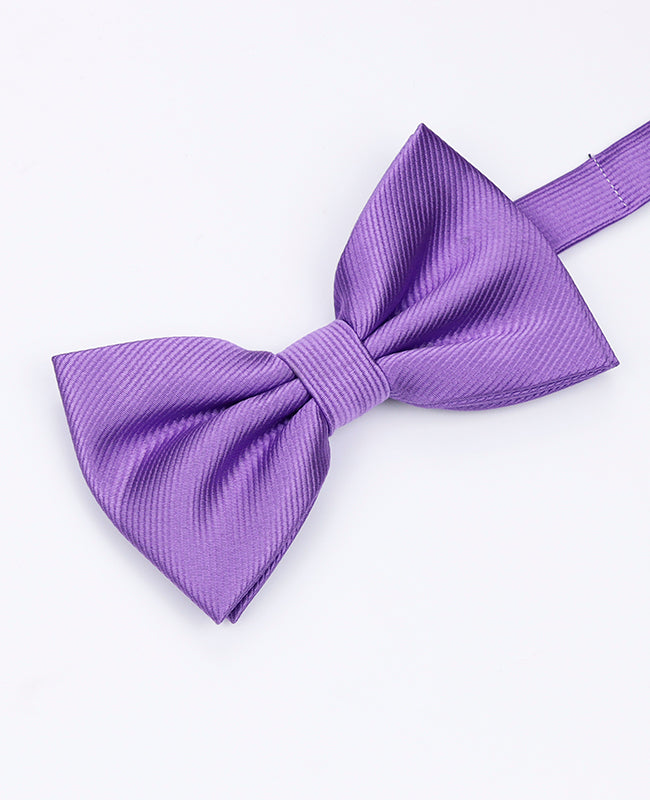 Papillon XL Viola n°3 Uomo in Poliestere | Lucien - Unipap's