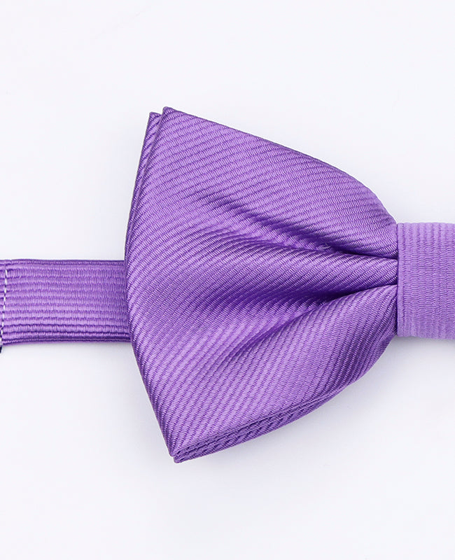 Papillon XL Viola n°3 Uomo in Poliestere | Lucien - Unipap's