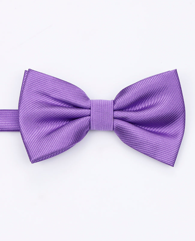 Papillon XL Viola n°3 Uomo in Poliestere | Lucien - Unipap's