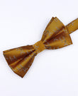 Papillon di Natale Oro Uomo in Poliestere «Christmas»