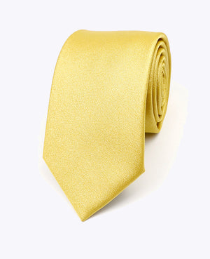 Cravatta con Paillette Oro n°2 Uomo in Poliestere | Armand - Unipap's