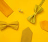 <strong>Giallo</strong>