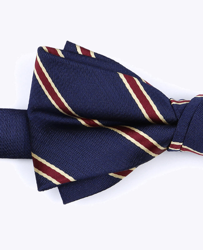 Papillon Blu A Righe Uomo in Poliestere «Edmond»