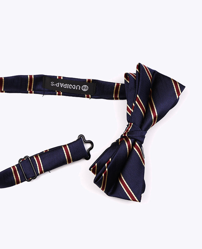 Papillon Blu A Righe Uomo in Poliestere «Edmond»