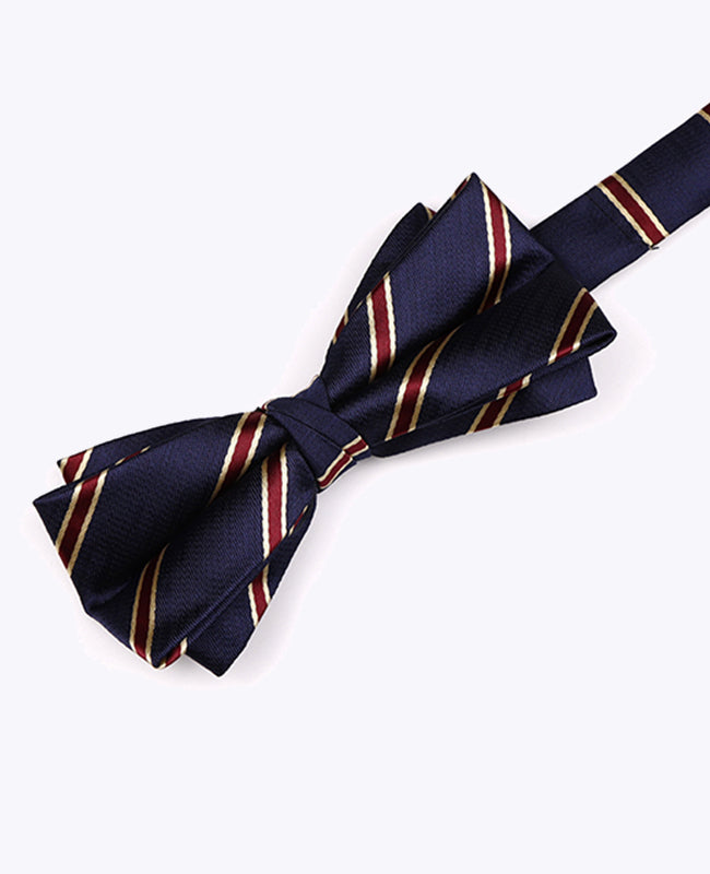 Papillon Blu A Righe Uomo in Poliestere «Edmond»