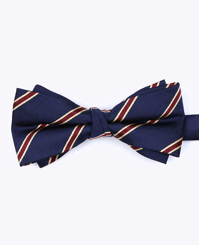 Papillon Blu A Righe Uomo in Poliestere «Edmond»
