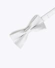 Papillon con Paillettes Argento n°1 Bambini in Poliestere | Isidore - Unipap's