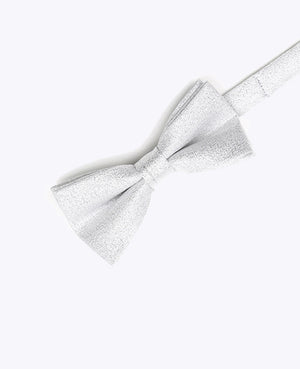 Papillon con Paillettes Argento n°1 Bambini in Poliestere | Isidore - Unipap's