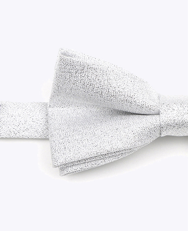 Papillon con Paillettes Argento n°1 Bambini in Poliestere | Isidore - Unipap's