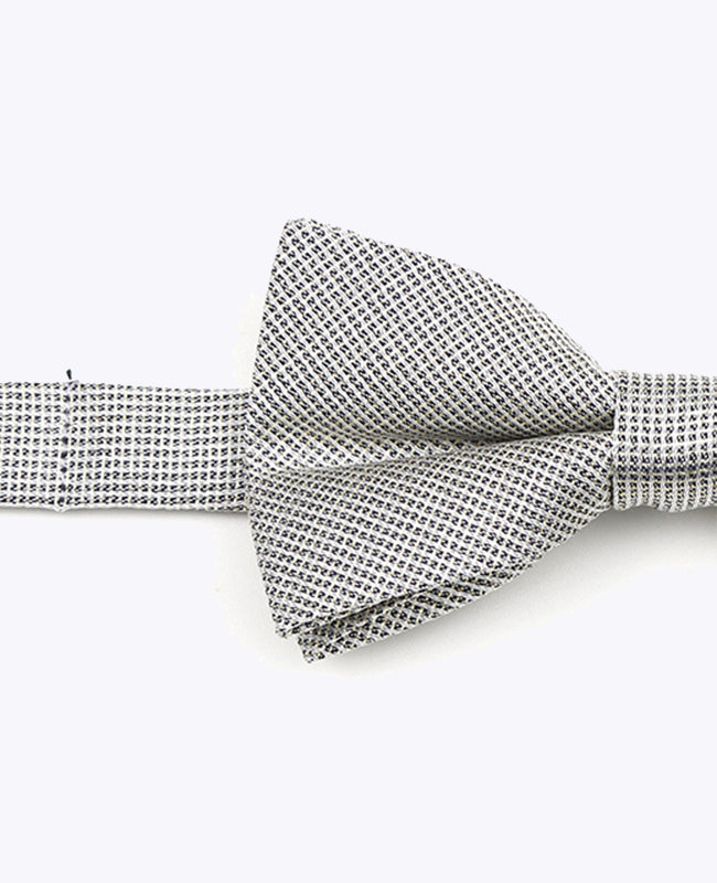 Papillon con Paillette Argento n°1 Bambini in Poliestere | Léonard - Unipap's