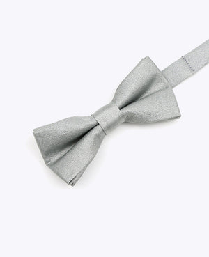 Papillon con Paillette Argento n°2 Bambini in Poliestere | Armand - Unipap's