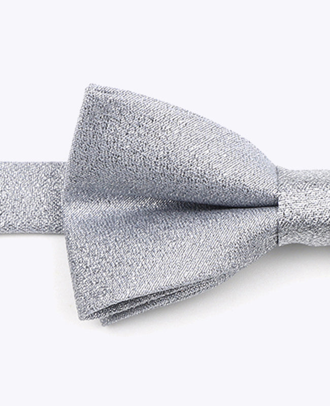 Papillon con Paillette Argento n°2 Bambini in Poliestere | Isidore - Unipap's