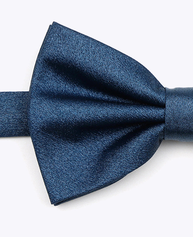 Papillon a Paillette Blu n°3 Uomo in Poliestere | Armand - Unipap's