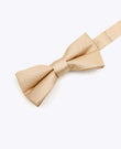 Papillon con Paillettes Oro n°1 Bambini in Poliestere | Armand - Unipap's