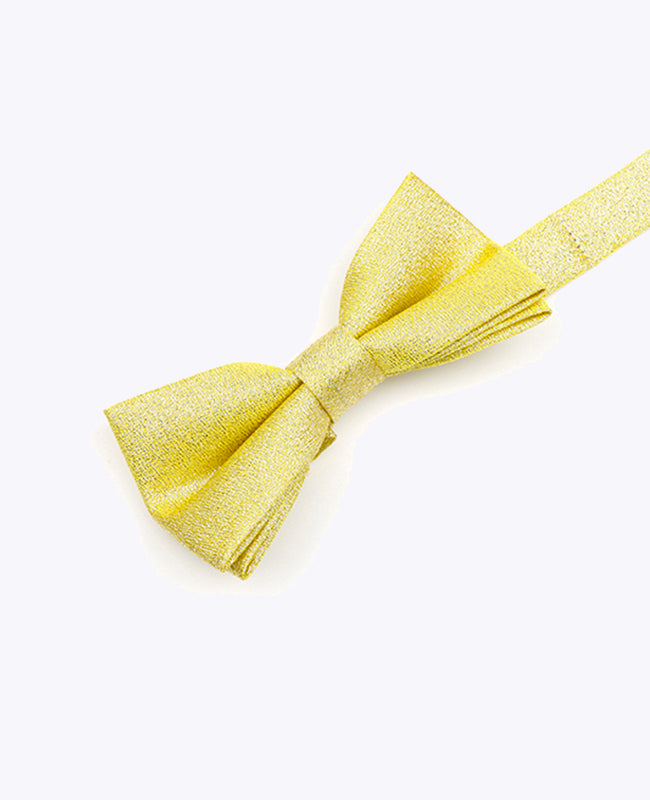 Papillon con Paillette Oro n°1 Bambini in Poliestere | Isidore - Unipap's