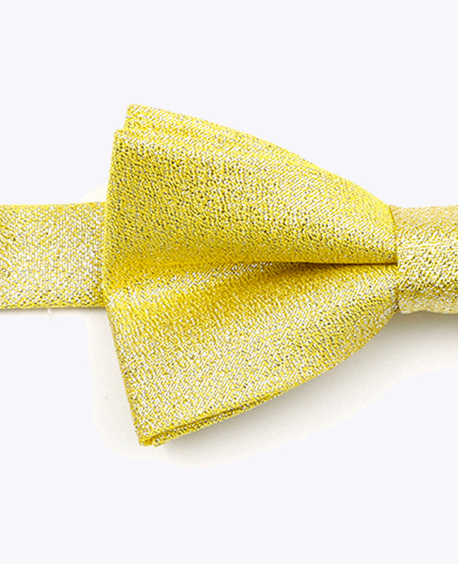 Papillon con Paillette Oro n°1 Bambini in Poliestere | Isidore - Unipap's