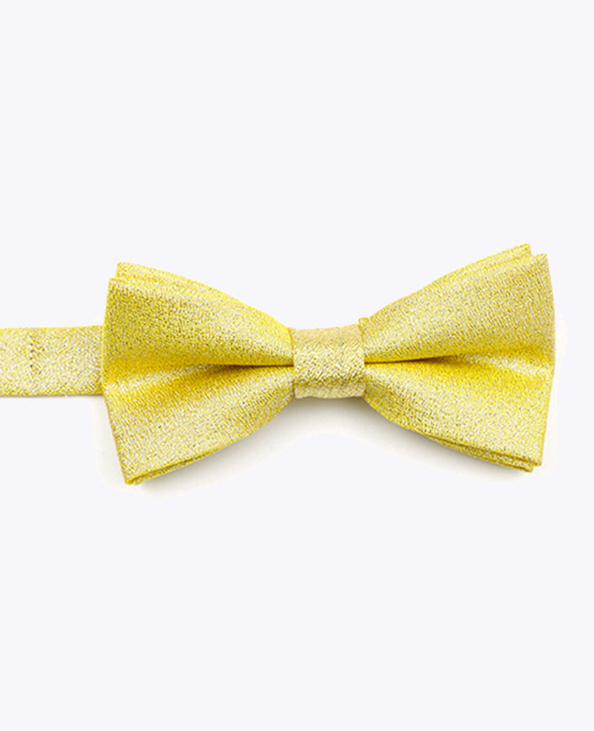 Papillon con Paillette Oro n°1 Bambini in Poliestere | Isidore - Unipap's