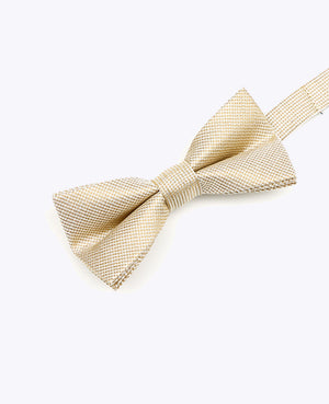 Papillon con Paillette Oro n°1 Bambini in Poliestere | Léonard - Unipap's