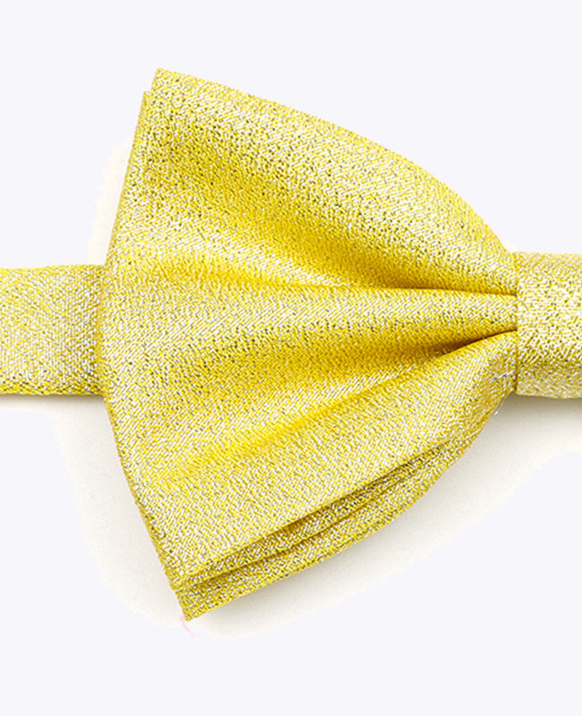 Papillon con Paillette Oro n°1 Uomo in Poliestere | Isidore - Unipap's