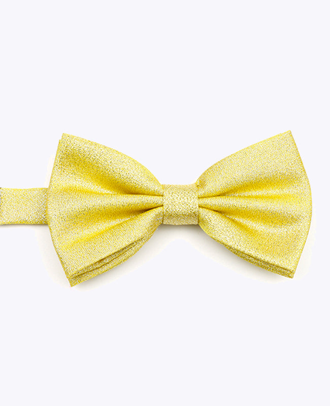 Papillon con Paillette Oro n°1 Uomo in Poliestere | Isidore - Unipap's