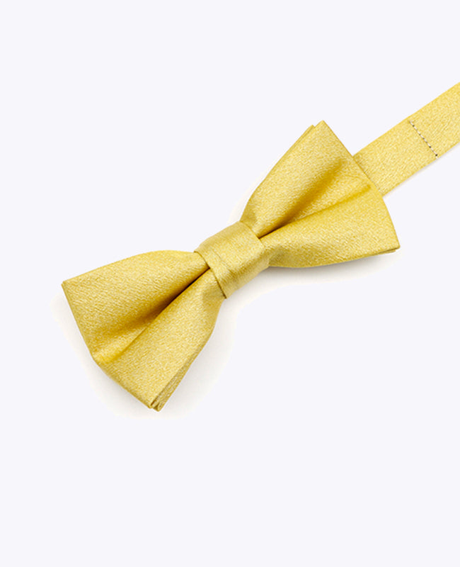 Papillon con Paillettes Oro n°2 Bambini in Poliestere | Armand - Unipap's