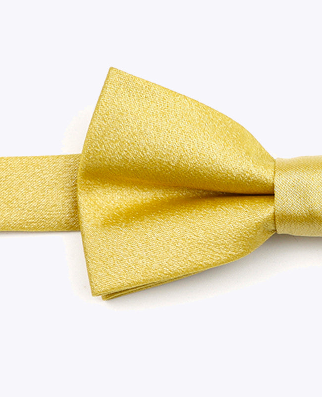Papillon con Paillettes Oro n°2 Bambini in Poliestere | Armand - Unipap's