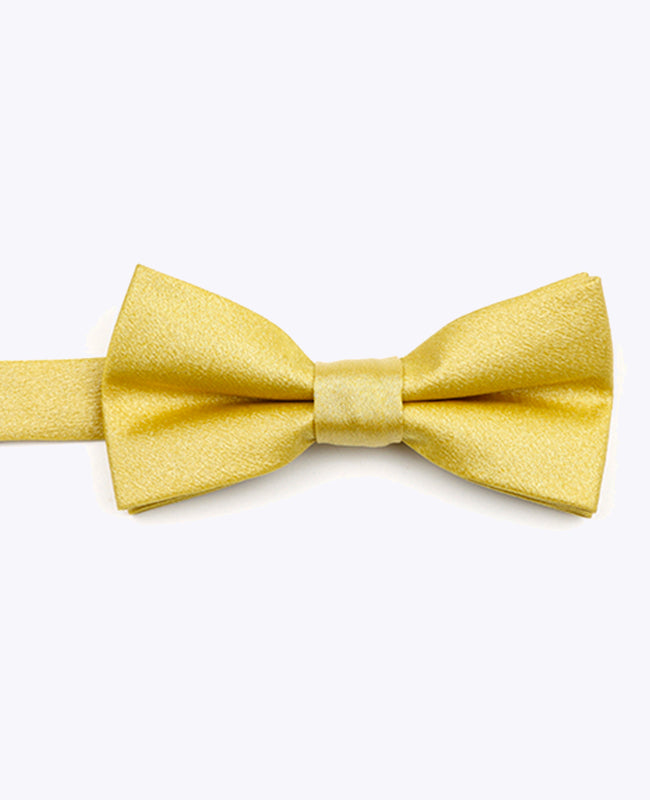 Papillon con Paillettes Oro n°2 Bambini in Poliestere | Armand - Unipap's
