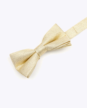 Papillon con Paillette Oro n°2 Bambini in Poliestere | Isidore - Unipap's