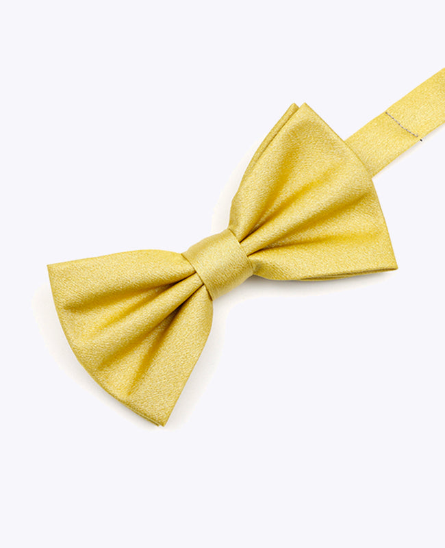 Papillon con Paillette Oro n°2 Uomo in Poliestere | Armand - Unipap's