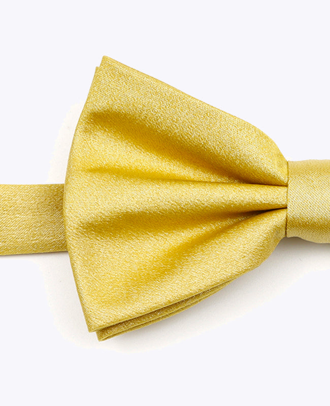 Papillon con Paillette Oro n°2 Uomo in Poliestere | Armand - Unipap's