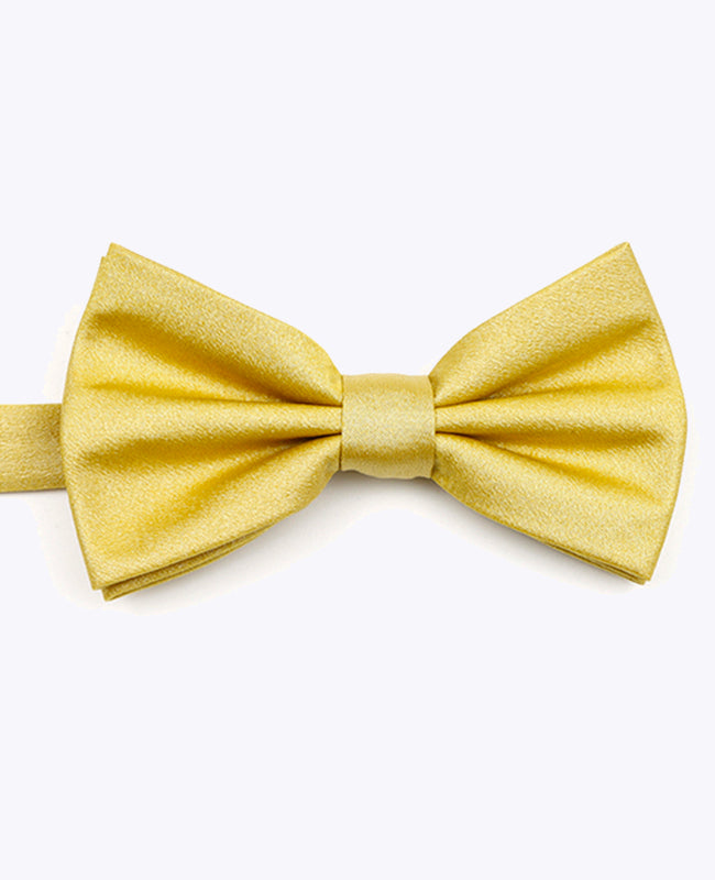 Papillon con Paillette Oro n°2 Uomo in Poliestere | Armand - Unipap's