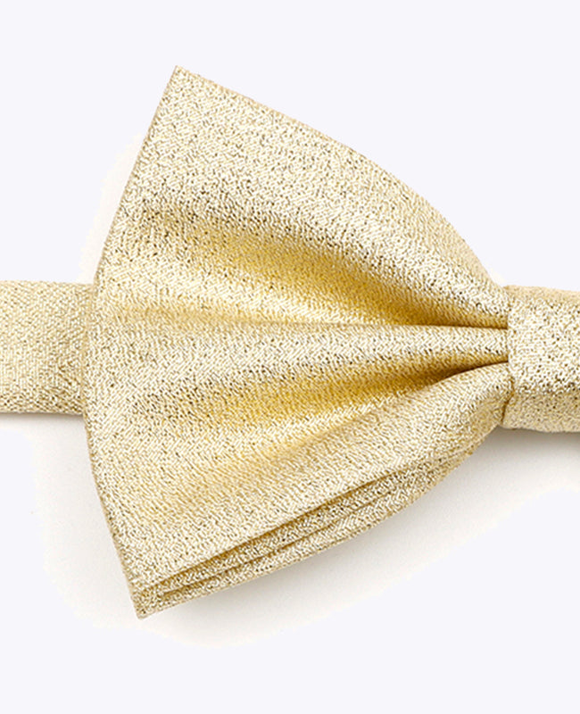 Papillon con Paillette Oro n°2 Uomo in Poliestere | Isidore - Unipap's