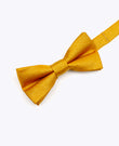 Papillon con Paillette Oro n°3 Bambini in Poliestere | Armand - Unipap's