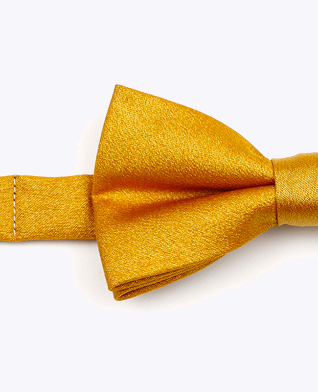 Papillon con Paillette Oro n°3 Bambini in Poliestere | Armand - Unipap's