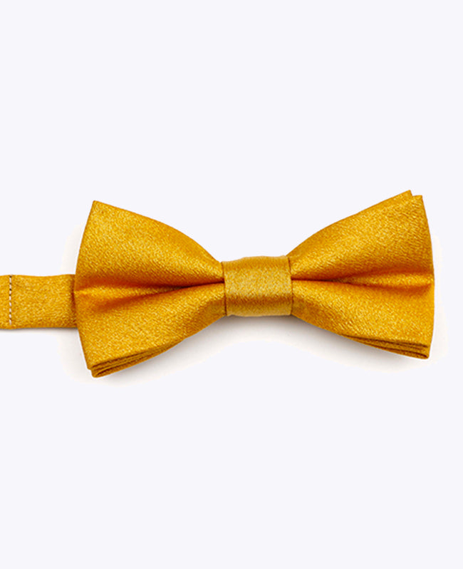 Papillon con Paillette Oro n°3 Bambini in Poliestere | Armand - Unipap's