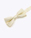 Papillon con Paillettes Oro n°3 Bambini in Poliestere | Isidore - Unipap's