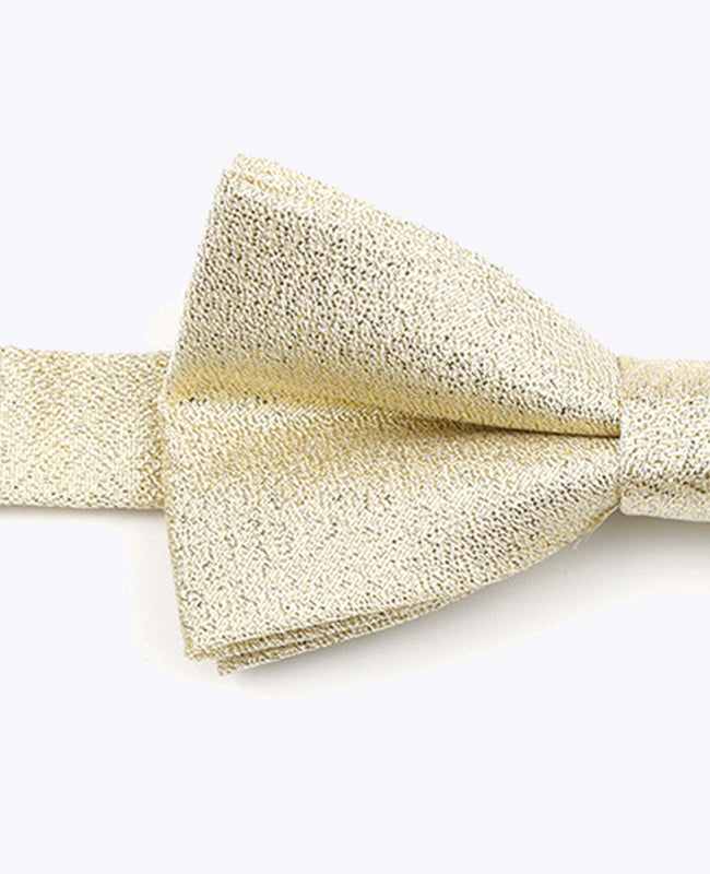 Papillon con Paillettes Oro n°3 Bambini in Poliestere | Isidore - Unipap's