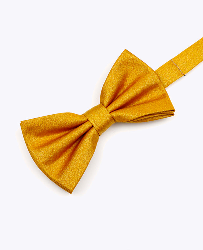 Papillon a Paillette Oro n°3 Uomo in Poliestere | Armand - Unipap's