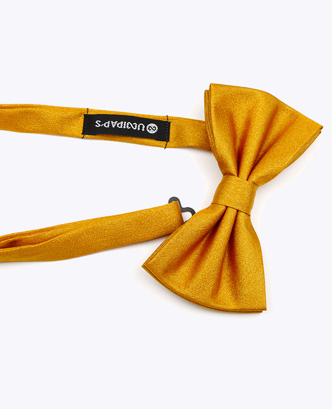 Papillon a Paillette Oro n°3 Uomo in Poliestere | Armand - Unipap's